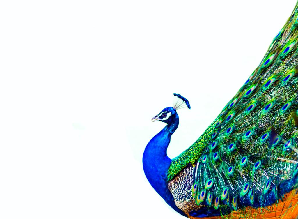 A Few Shades Less&nbsp;Proud