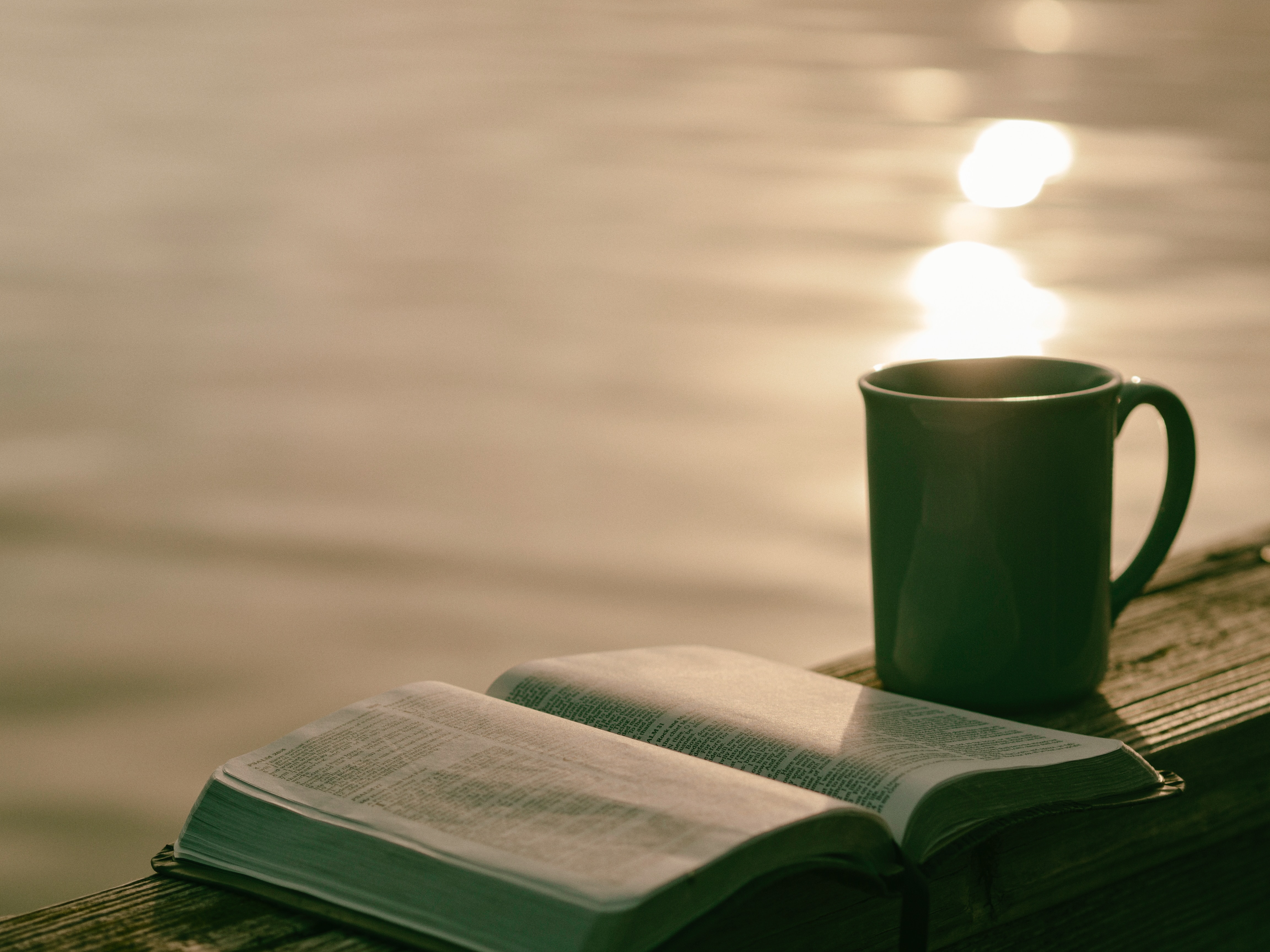 Find Rest, O My Soul