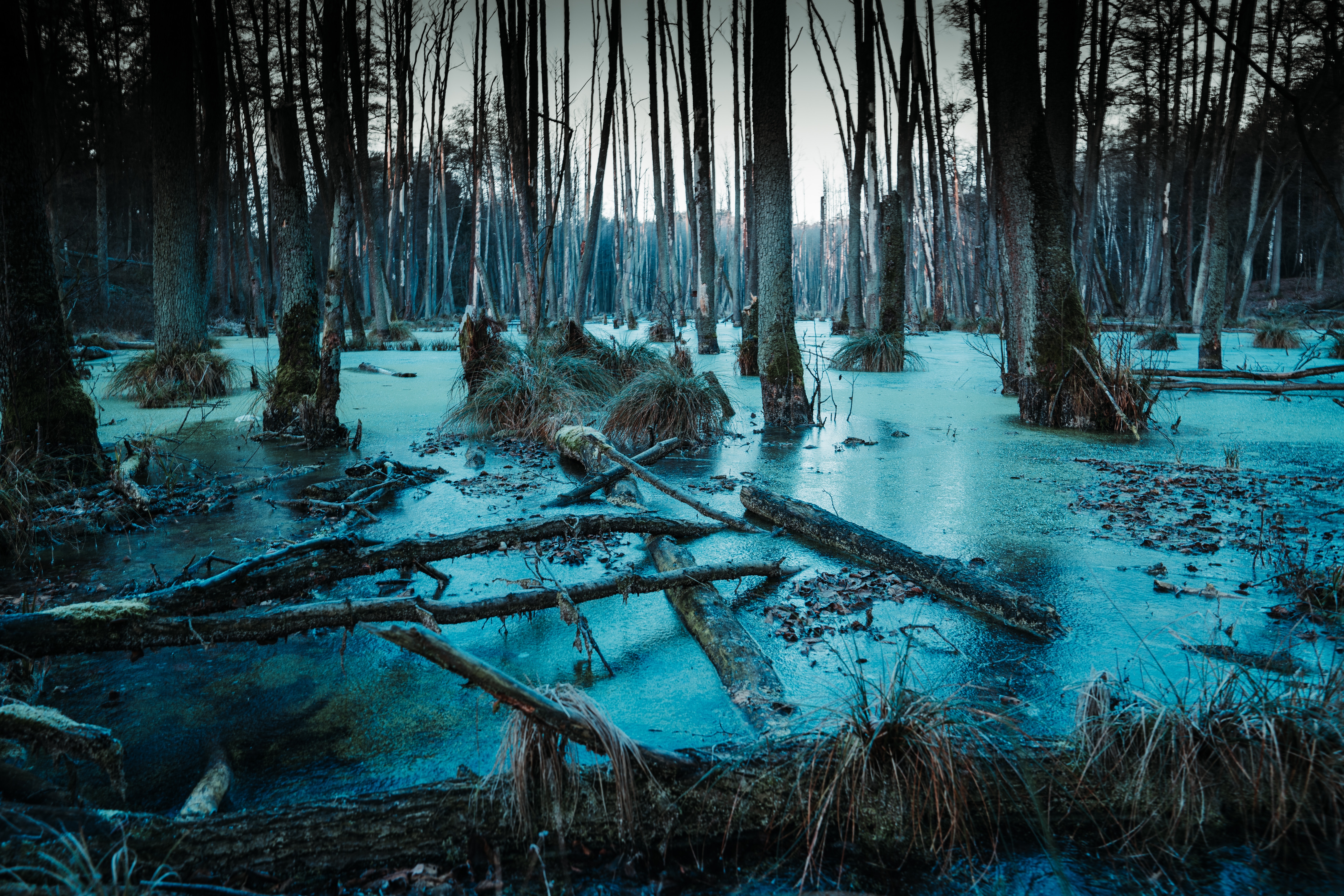 Turning The Tables—Draining The Swamp