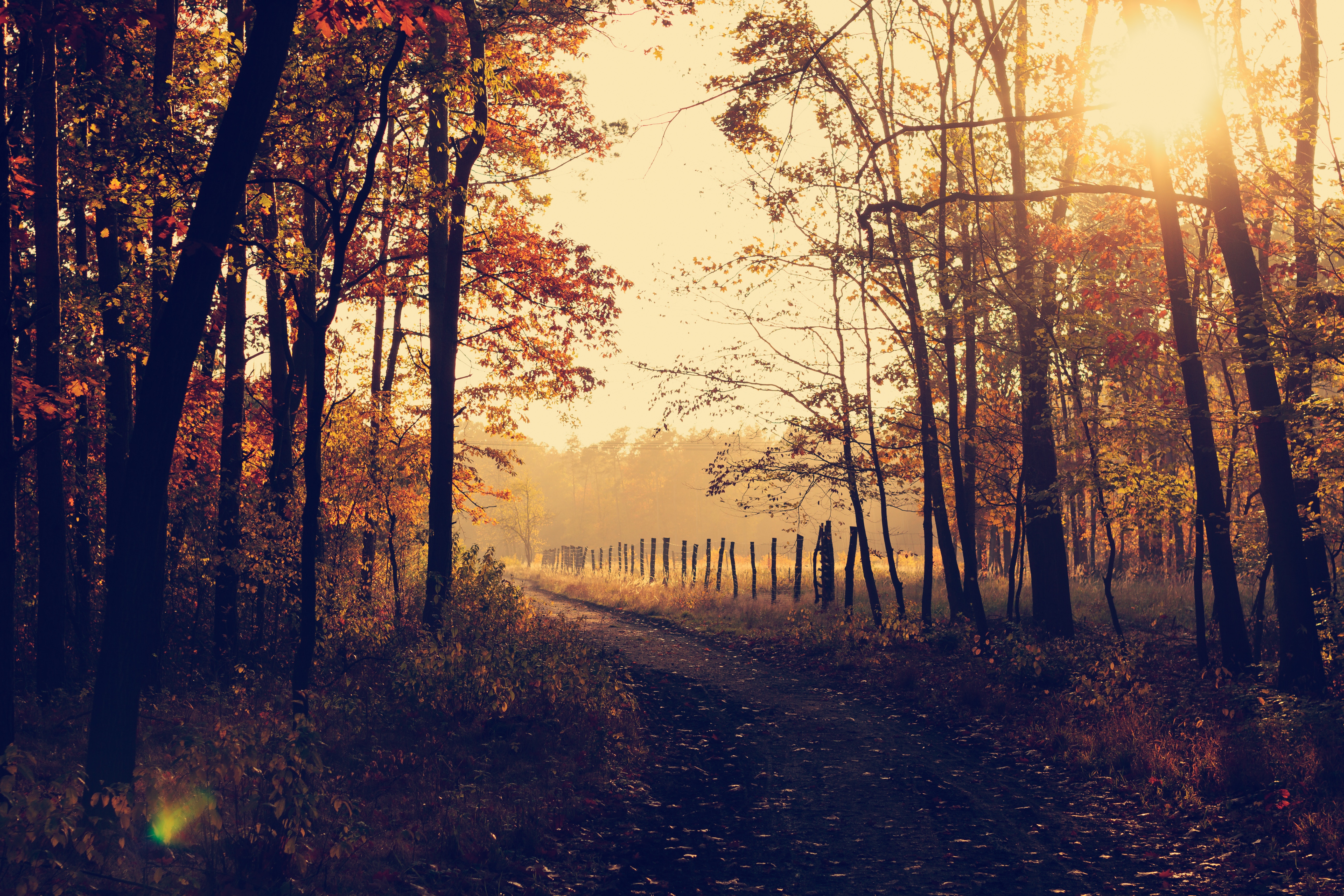 The History Of American Thanksgiving