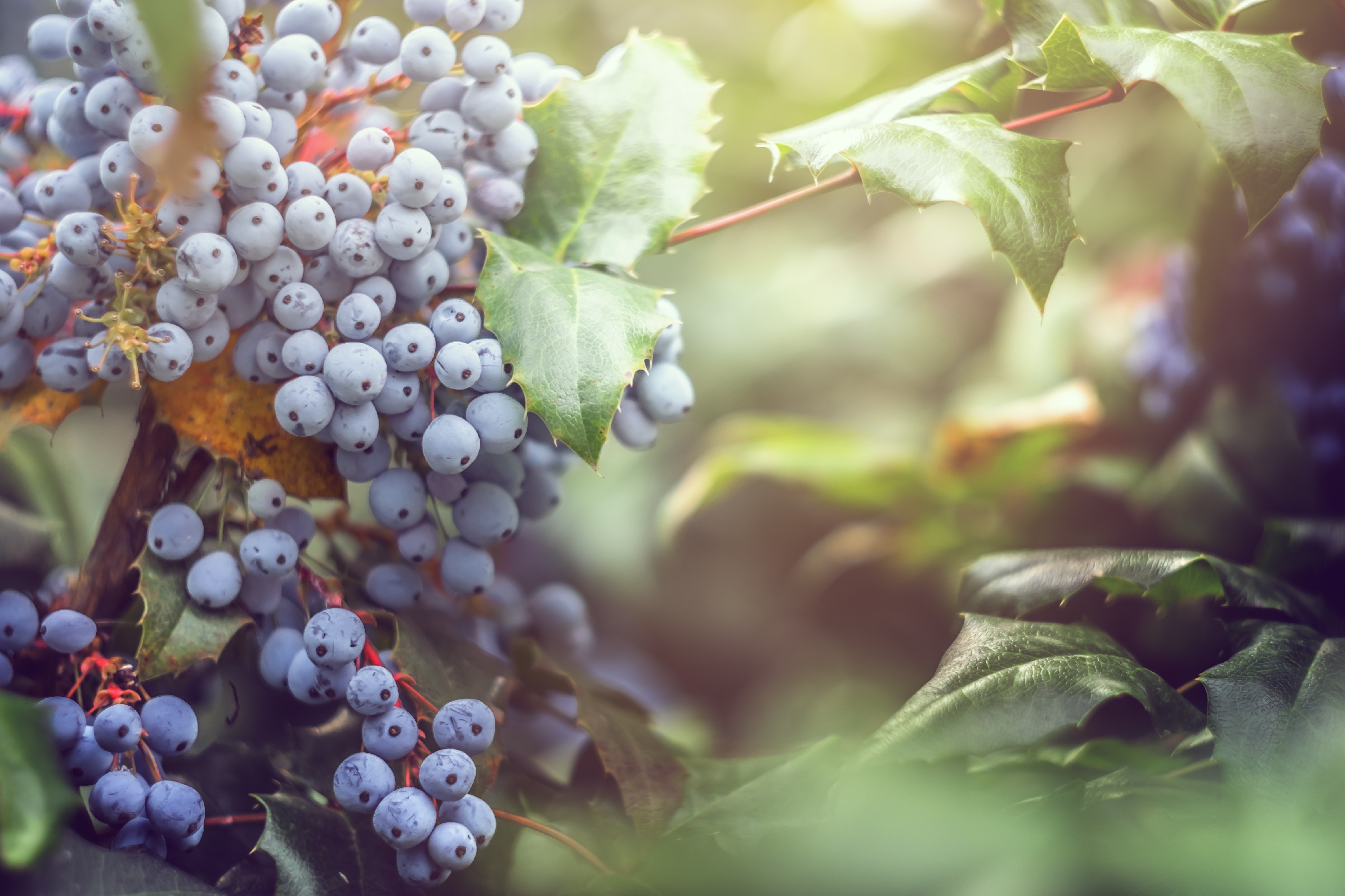 Taste And See That The Lord Is Good