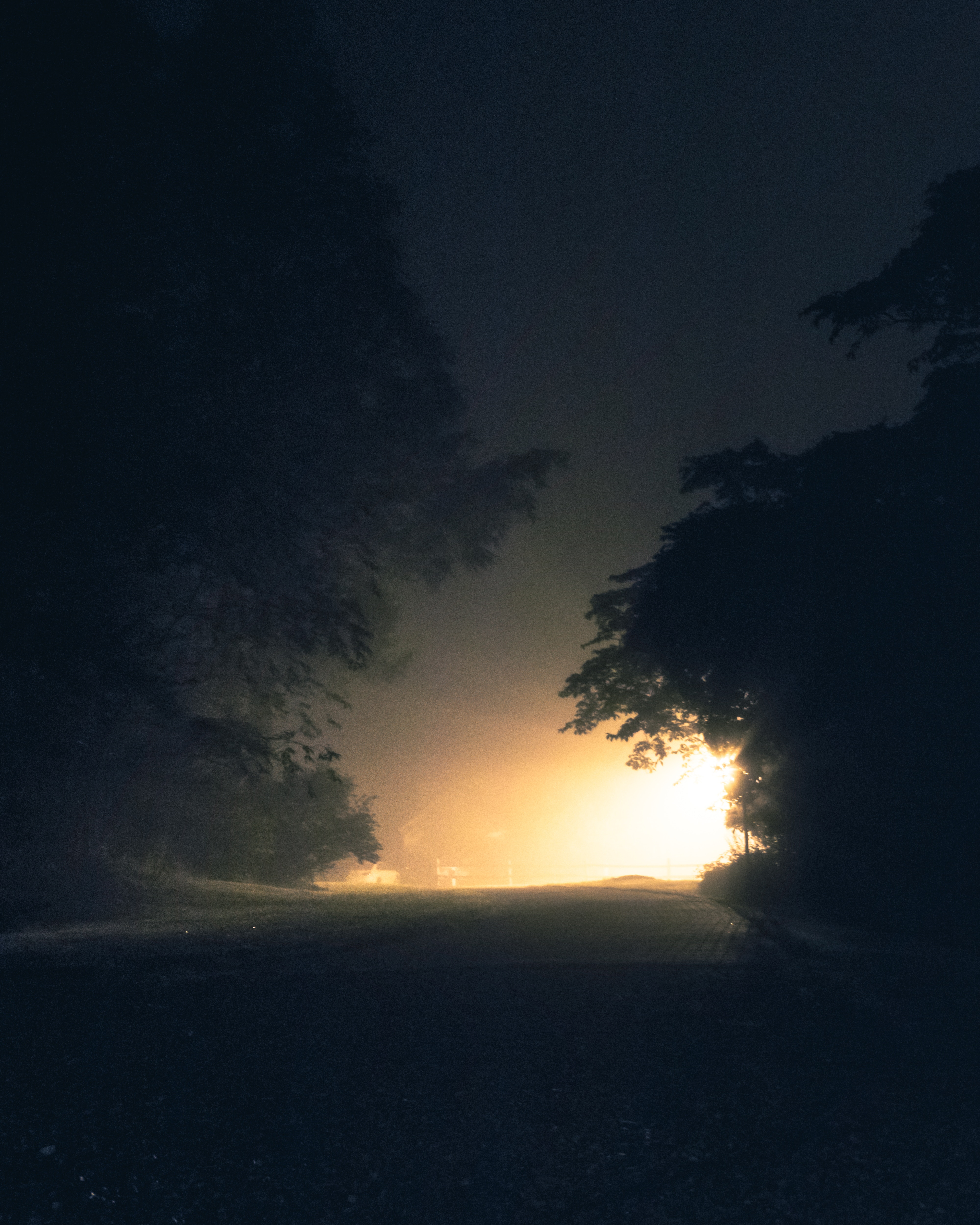 Light—In The Midst Of Darkness